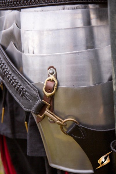 Pole Holster for Sword Belt