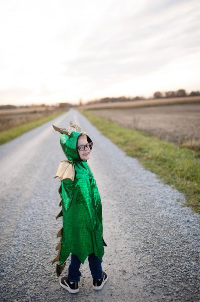 Dragon Cape - Green &amp; Gold
